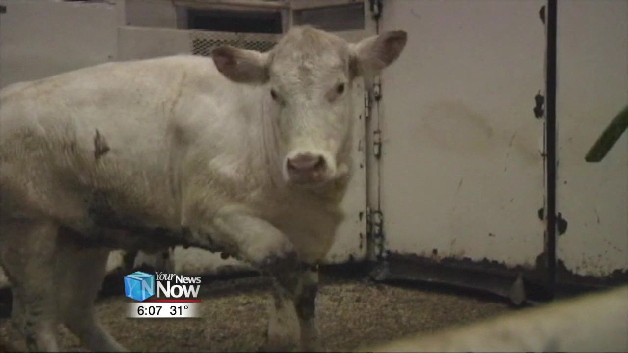 Nominations are being accepted for Allen County Agriculture Hall of Fame 1.jpg